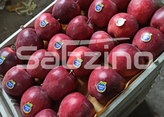 شرایط صادرات سیب درختی