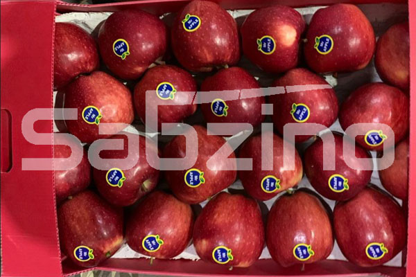 صادرات سیب به روسیه